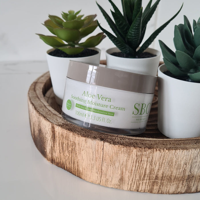 Beruhigende Feuchtigkeitscreme mit Aloe Vera
