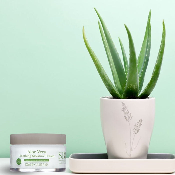 Beruhigende Feuchtigkeitscreme mit Aloe Vera